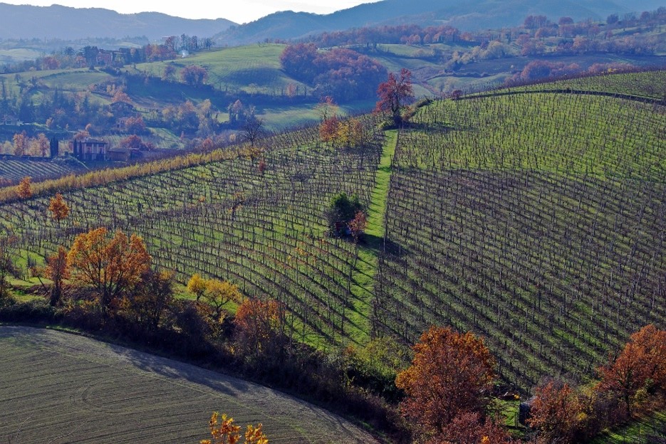 agricoltura in Emilia-Romagna