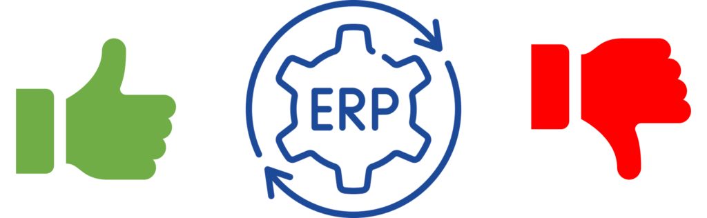 pro e contro software ERP internazionali